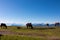 Goldeck - Herd of wild horses grazing on alpine meadow with scenic view of magical mountain of Karawanks and Julian Alps