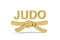 Golden 3d judo icon isolated on white background