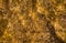 Golden abstract background or texture with shine sky or space effect