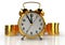 Golden alarm clock and stacks of golden coins. White background. Time is money concept. 3D