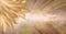 Golden Angel Feather Message Banner Background