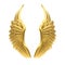 Golden Angel Wings Isolated