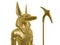 Golden anubis