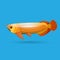 golden arowana. Freshwater bony fish bonytongues.