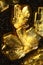 Golden ascorbic acid crystals