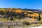 Golden Aspens Along the Bachelor Loop, Creede Colorado