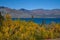 Golden Aspens contrast with the deep blue green waters of Klaune Lake