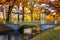 Golden autumn in Alexander Park near Tsarskoye Selo. The city of Pushkin, Leningrad region. View of the Chinese bridges