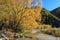 Golden Autumn in Arrowtown