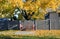 Golden Autumn on the backyard