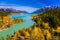Golden Autumn in the birch and aspen groves on shores of Abraham Lake. Mountain valley in the Rocky Mountains of Canada. Concept
