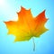 Golden autumn bright vector leaf in a blue sky