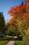 Golden autumn in city park, seasonal landscape, beautiful nature, Time for romantic walking. Tree alley in fall background