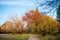 Golden autumn in city park, seasonal landscape, beautiful nature, Time for romantic walking. Tree alley in fall background