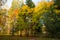 Golden autumn in city park, seasonal landscape, beautiful nature, Time for romantic walking. Tree alley in fall background