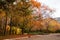 Golden autumn in city park, seasonal landscape, beautiful nature, Time for romantic walking. Tree alley in fall background