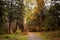 Golden autumn in city park, seasonal landscape, beautiful nature, Time for romantic walking. Tree alley in fall background