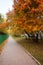 Golden autumn in city park, seasonal landscape, beautiful nature, Time for romantic walking. Tree alley in fall background