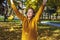 Golden autumn concept. Beautiful girl in a yellow sweater throws leaves up, outdoor portrait