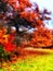 Golden autumn in Englands oldest forest