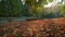 Golden autumn in famous Munich relax place - Englishgarten English garden with fallen leaves. Munchen, Bavaria, Germany