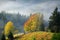 Golden Autumn. Foggy morning in mountains