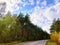 Golden autumn in forest, road and blue sky