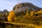 Golden autumn hills with larch trees on Falzarego Pass, Dolomites