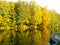 Golden autumn on the lake. Reflection in the water of yellow fol