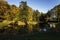 golden autumn on lakeside - fall landscape near the pond