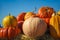 Golden autumn, large different pumpkins, Different varieties of pumpkins, a wooden cart with pumpkins