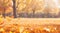 Golden Autumn Leaves in Sunlit Park: Beautiful Bokeh Photography.