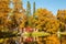 Golden autumn in the Lomonosov Oranienbaum public park, Saint Petersburg, Russia