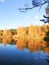 Golden autumn mirrowed in a lake