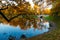 Golden autumn panorama of the pond and the bridge in the Mikhailovsky garden in SPb