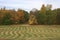 Golden autumn in park, Peterhof