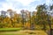 Golden autumn in a park in Riga, Latvia