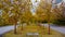 Golden Autumn in Russia. Novosibirsk city