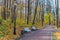 Golden autumn scene in the park, road with becnes