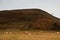 Golden Autumn tree against large hill with sheep grazing