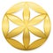 Golden Baby Flower Of Life