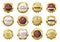 Golden badges, premium quality emblems, luxury seal labels. Realistic gold medal badge, vintage elegant product stamp