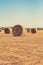 A golden bale of hay in a beautiful field.