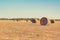 A golden bale of straw in a beautiful field, after harvesting wheat.