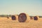 A golden bale of straw in a beautiful field, after harvesting wheat.