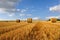 Golden bales in field