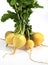 Golden Ball Turnip, brassica rapa, Vegetable against White Background