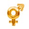 Golden balloons forming gender signs. Gender equality concept. Male and female equality. Equal rights concept. Women`s rights