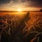 Golden Barley Fields At Sunset. Generative AI