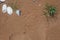 Golden beach sand background with grass, pebbles and rocks.